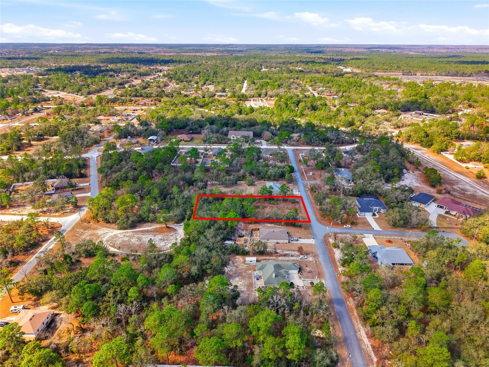 Image 11 of 14 For 11263 Mexican Canary Avenue