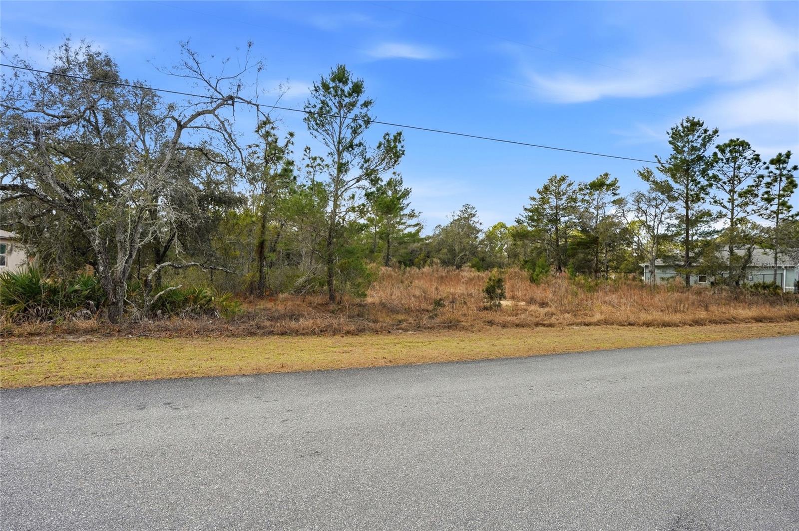 Image 13 of 14 For 11263 Mexican Canary Avenue