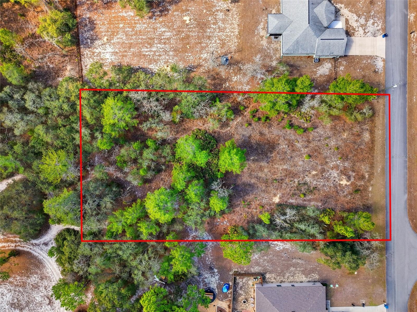 Image 3 of 14 For 11263 Mexican Canary Avenue