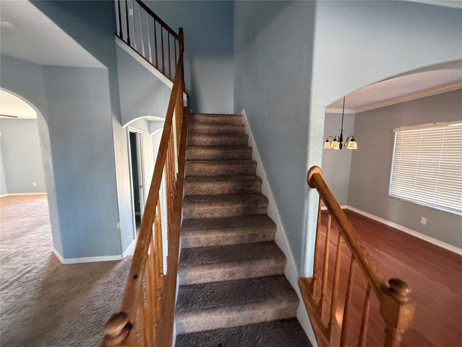 Image 10 of 23 For 11642 Addison Chase Drive