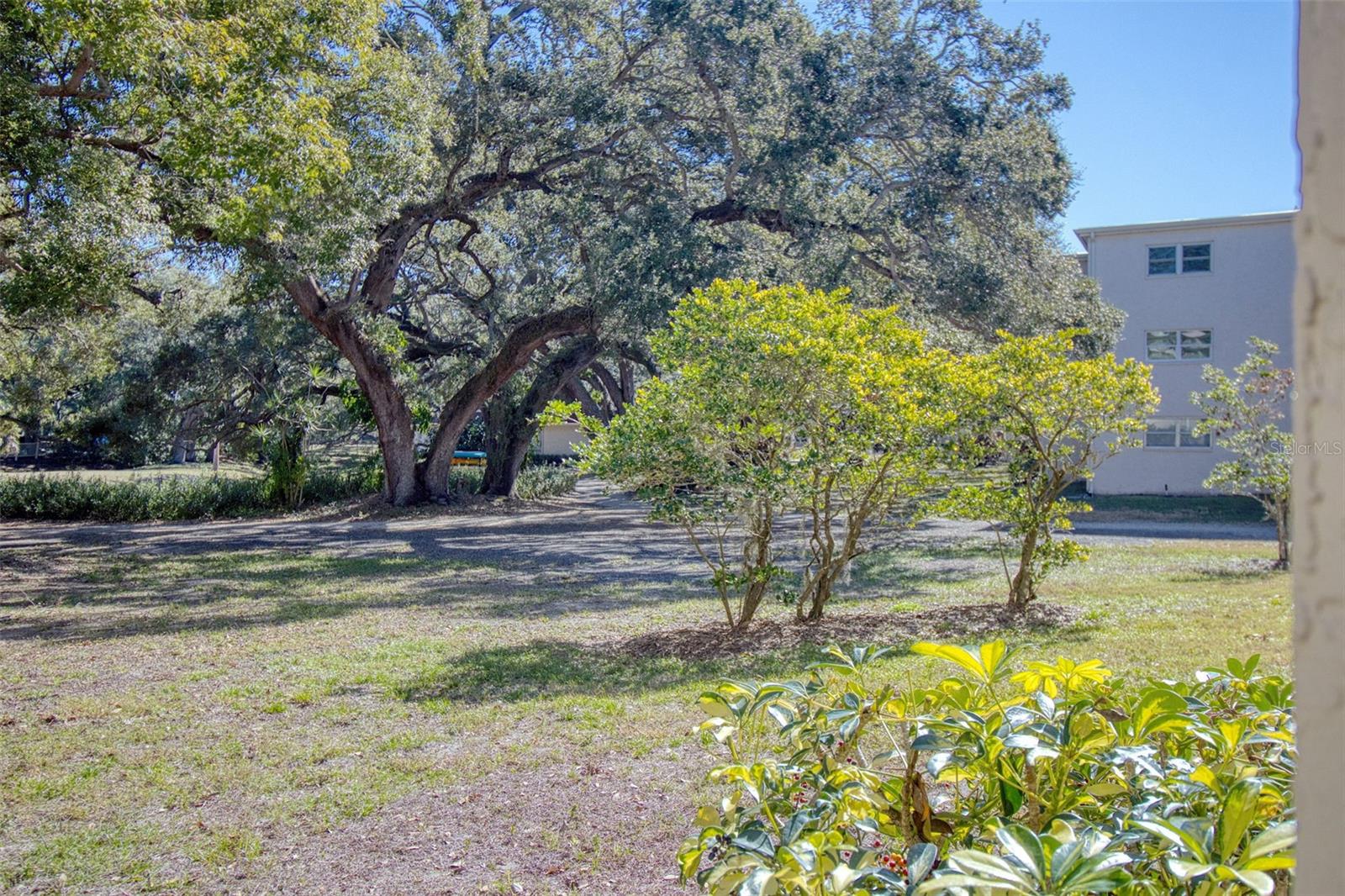 Image 26 of 34 For 865 Virginia Court 107