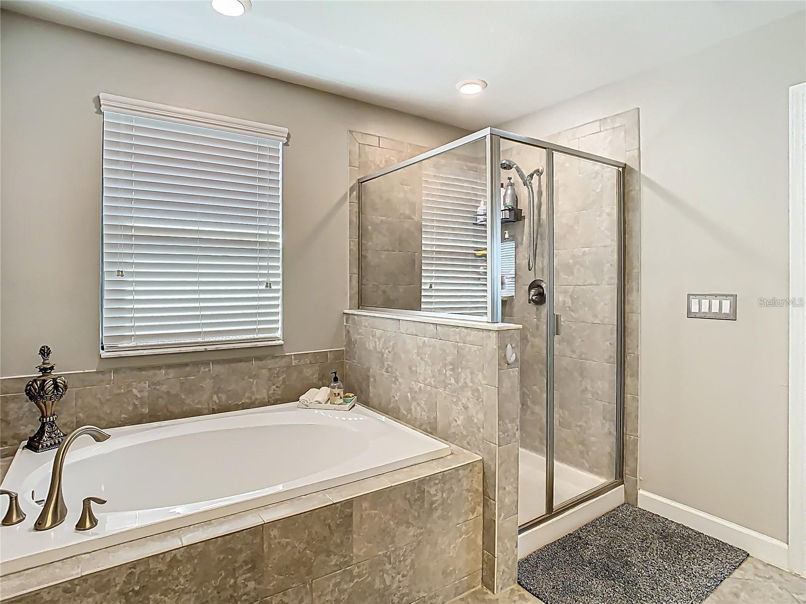 Image 43 of 73 For 28642 Tranquil Lake Circle