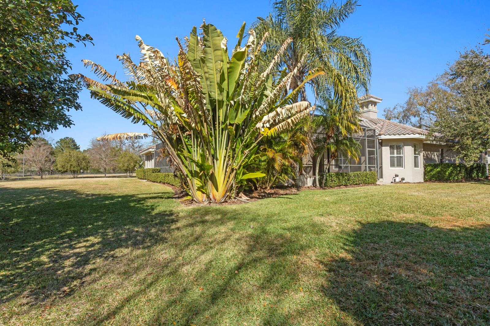 Listing photo id 56 for 9916 Menander Wood Court