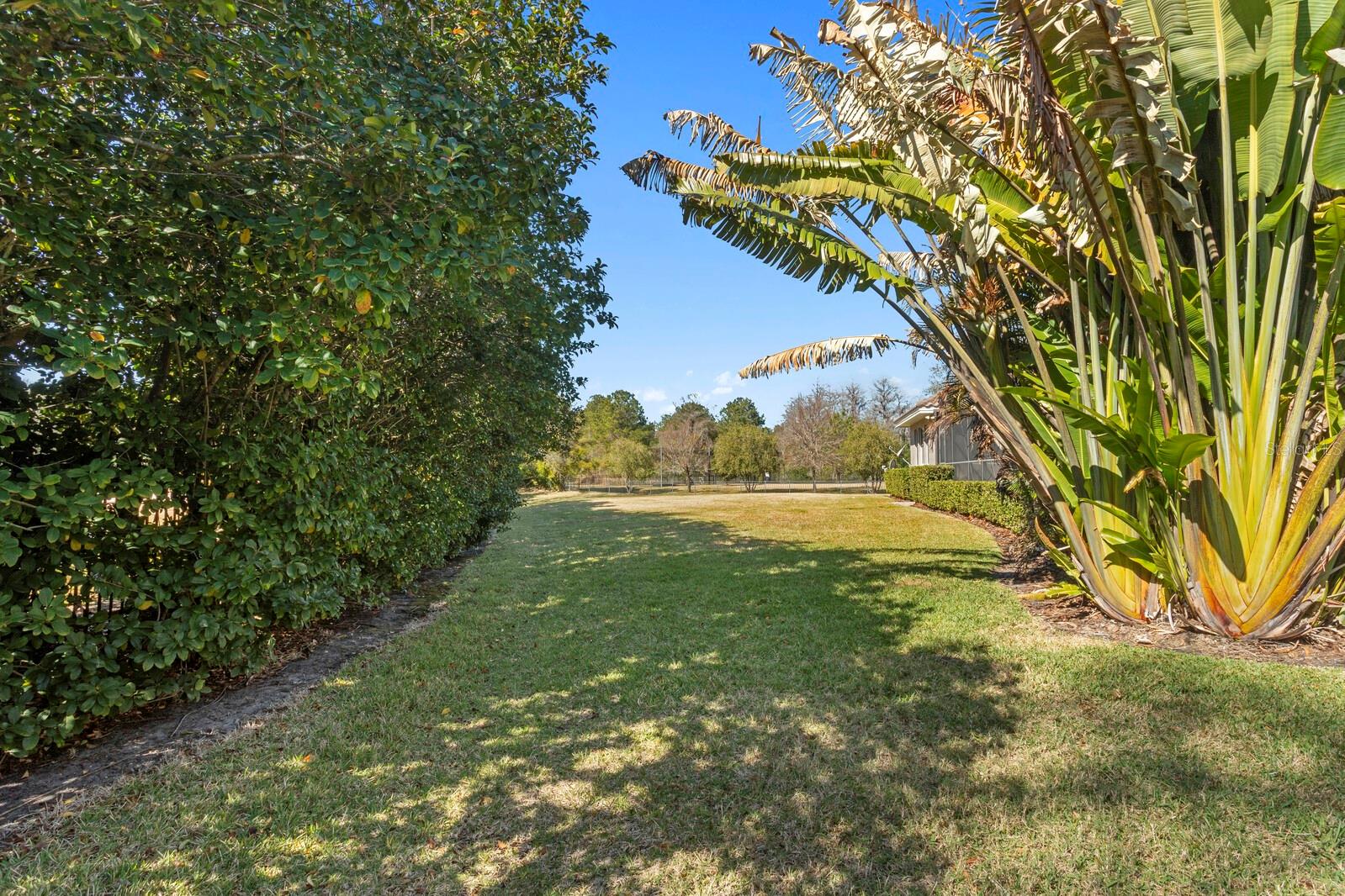 Listing photo id 57 for 9916 Menander Wood Court