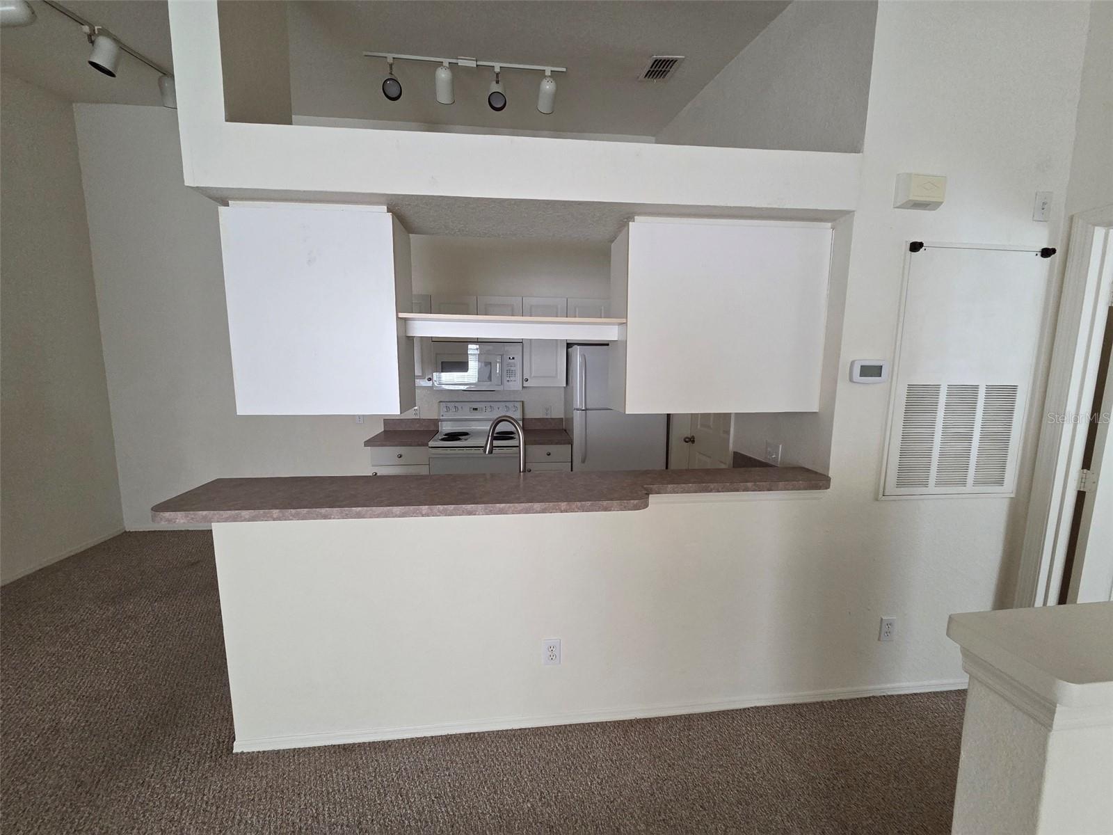 Image 5 of 17 For 36121 Lake Chase Boulevard 201