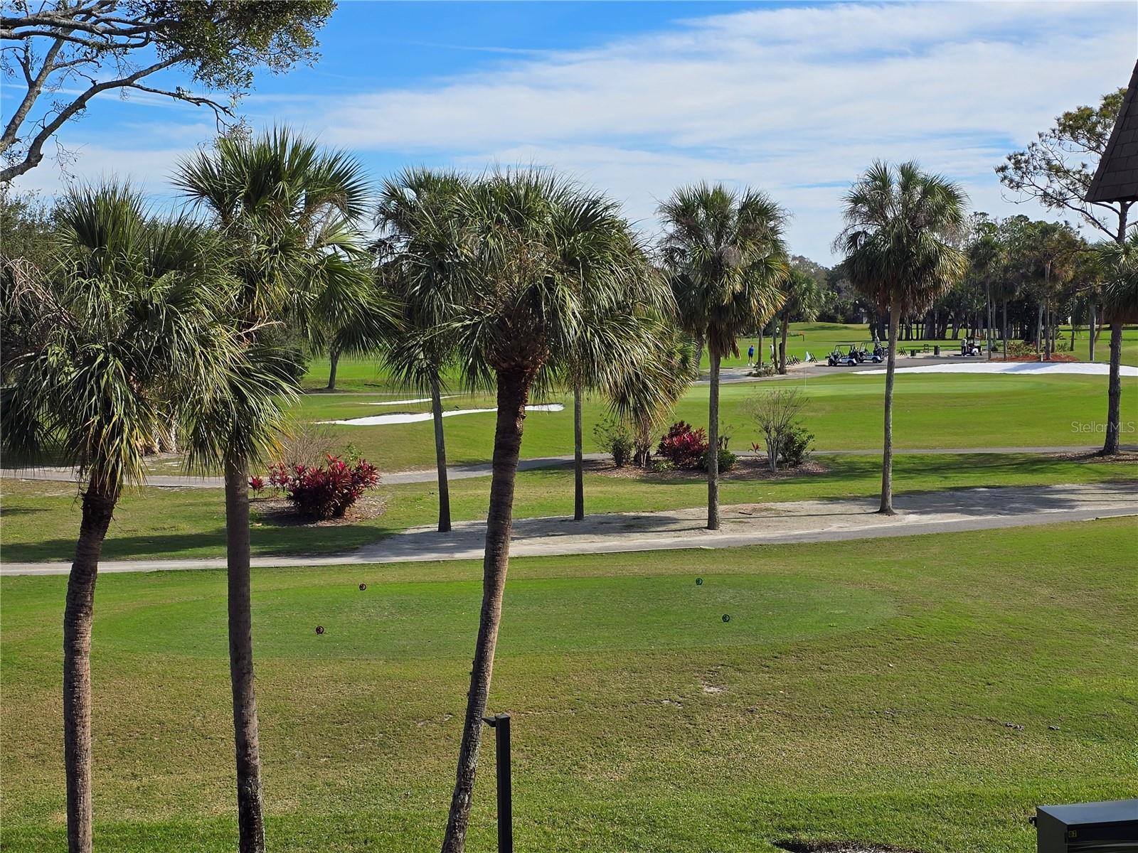 Image 45 of 53 For 3031 Countryside Boulevard 35c