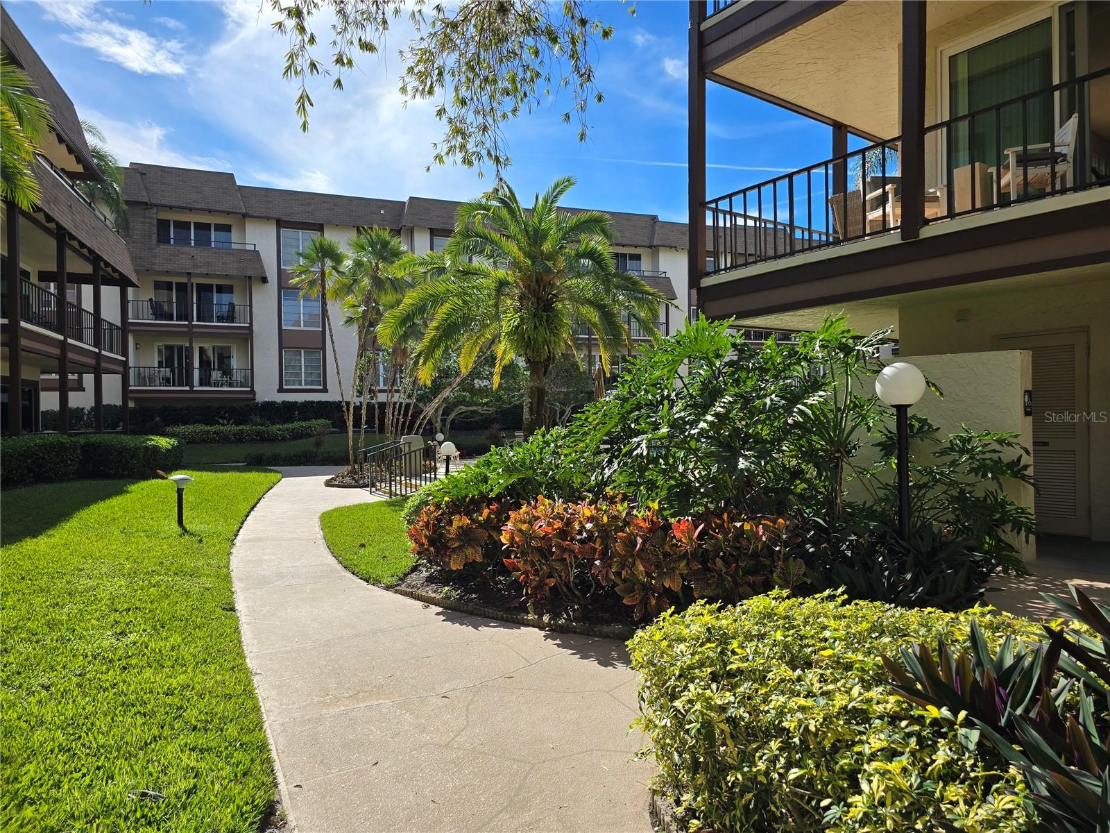 Image 5 of 53 For 3031 Countryside Boulevard 35c