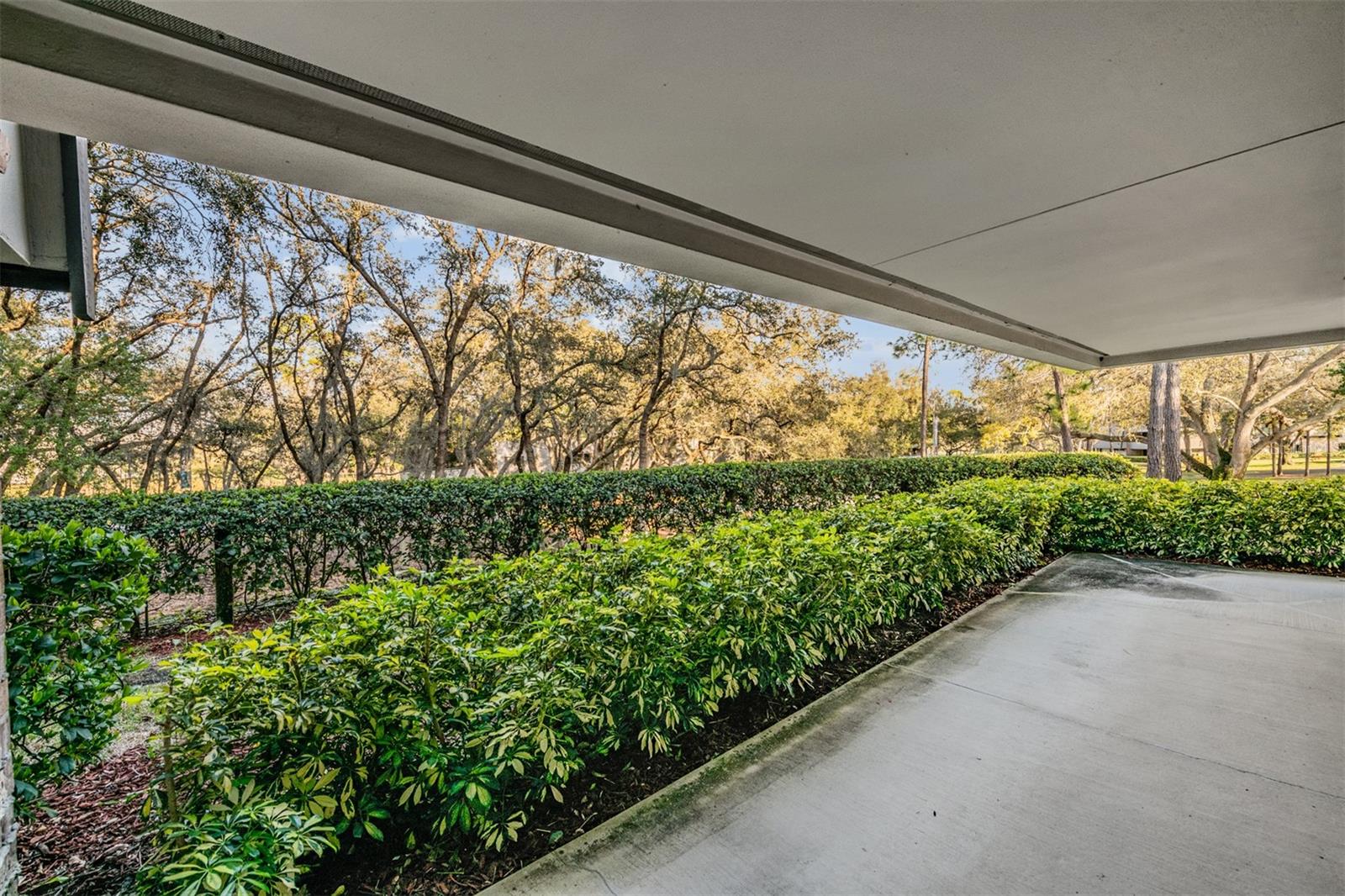 Image 37 of 60 For 36750 Us Highway 19 N 27-104