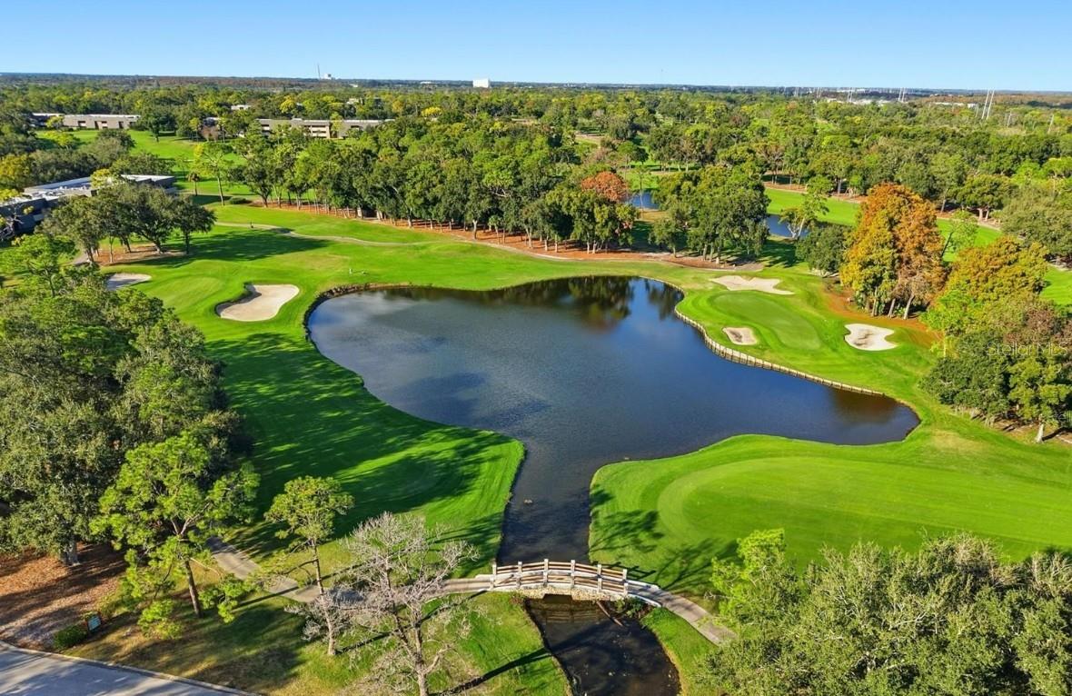 Image 40 of 60 For 36750 Us Highway 19 N 27-104