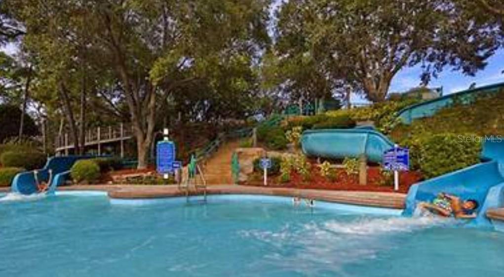 Image 46 of 60 For 36750 Us Highway 19 N 27-104