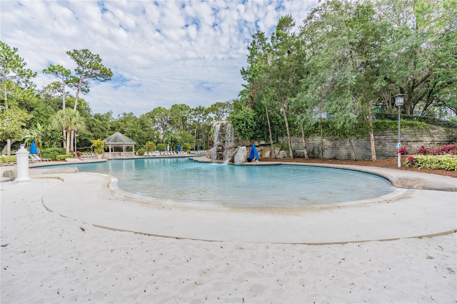 Image 55 of 60 For 36750 Us Highway 19 N 27-104