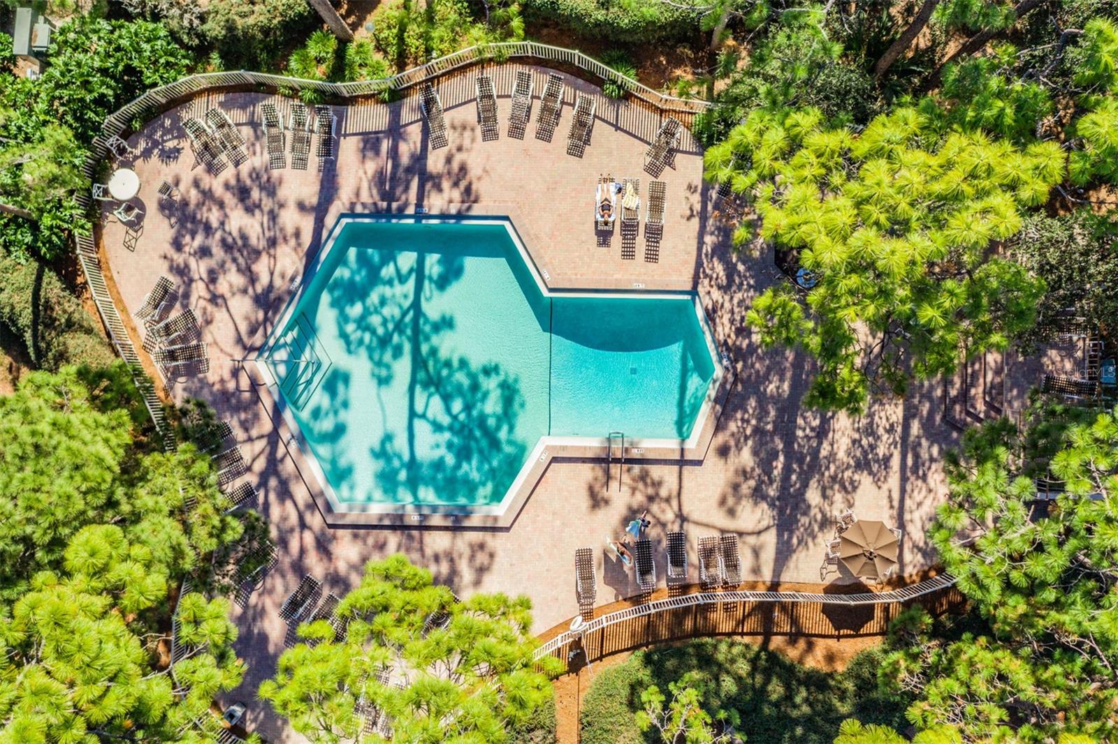 Image 56 of 60 For 36750 Us Highway 19 N 27-104