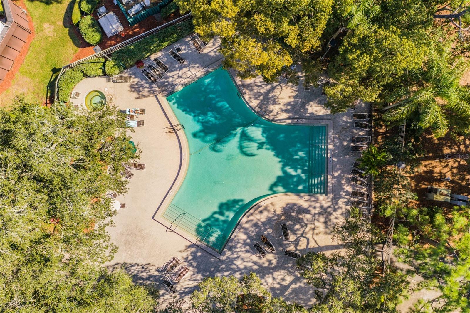 Image 57 of 60 For 36750 Us Highway 19 N 27-104