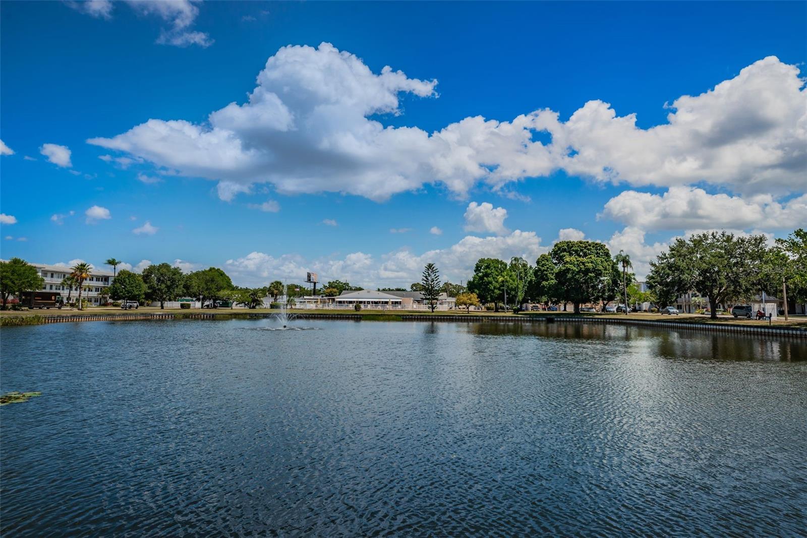 Listing photo id 13 for 5955 18th Street N 7