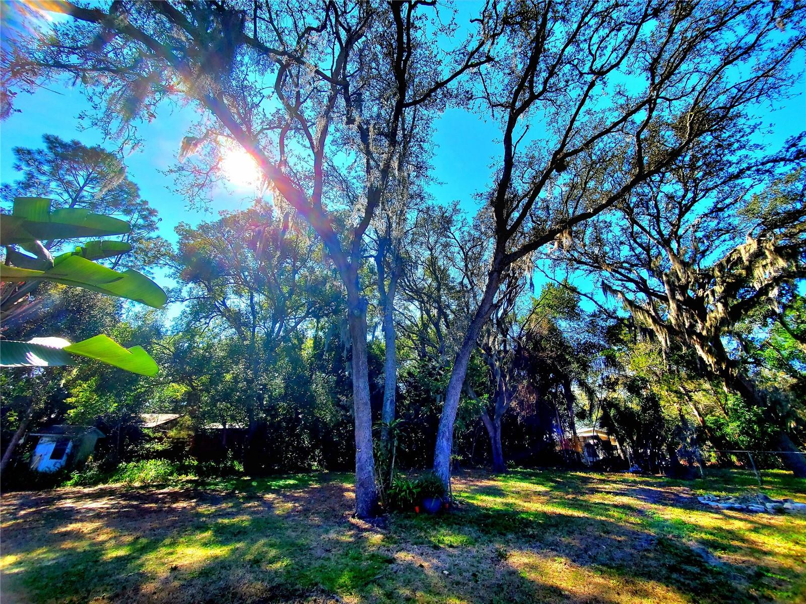 Listing photo id 49 for 804 Robin Avenue