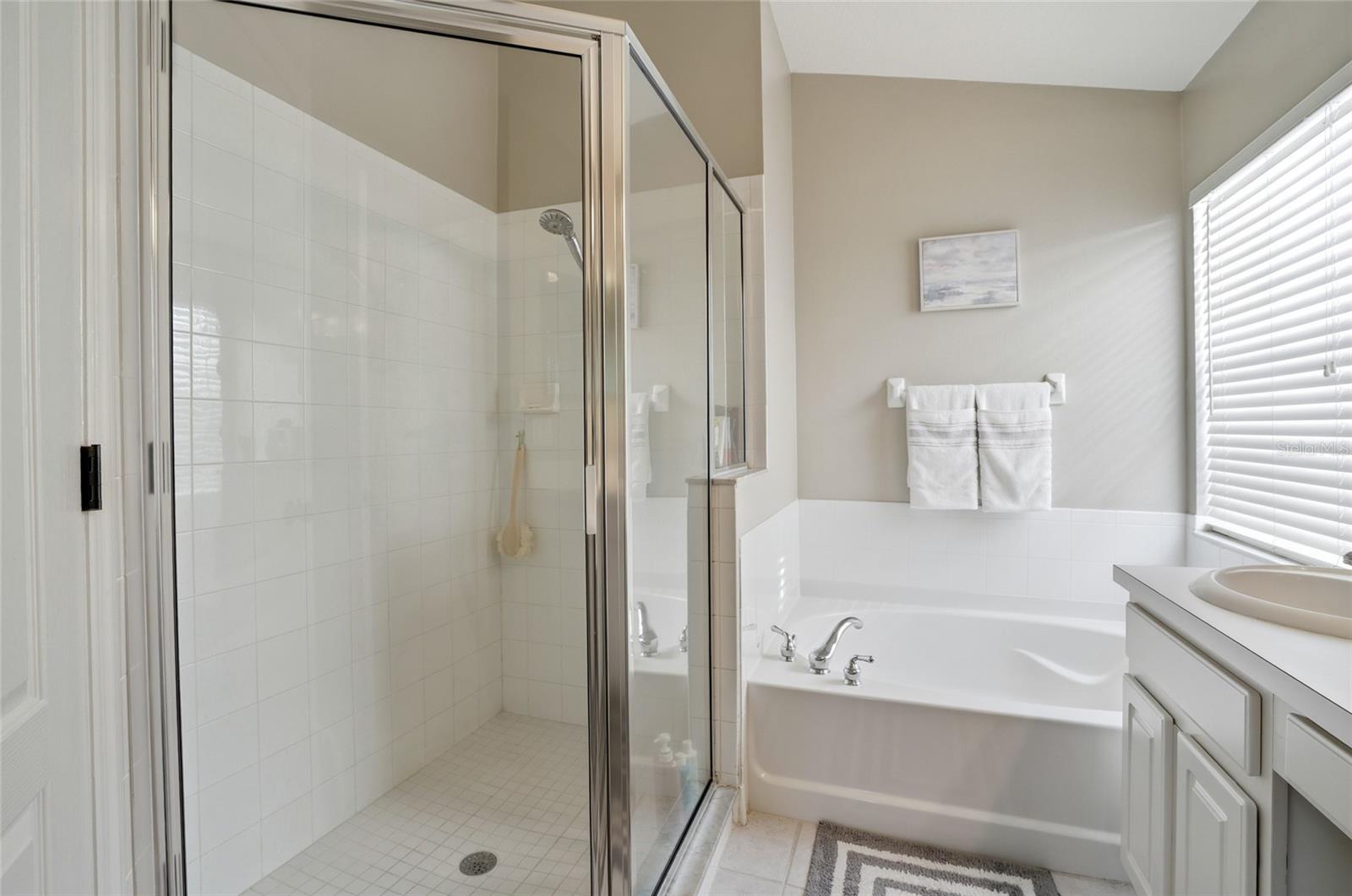 Image 23 of 50 For 10426 Lucaya Drive