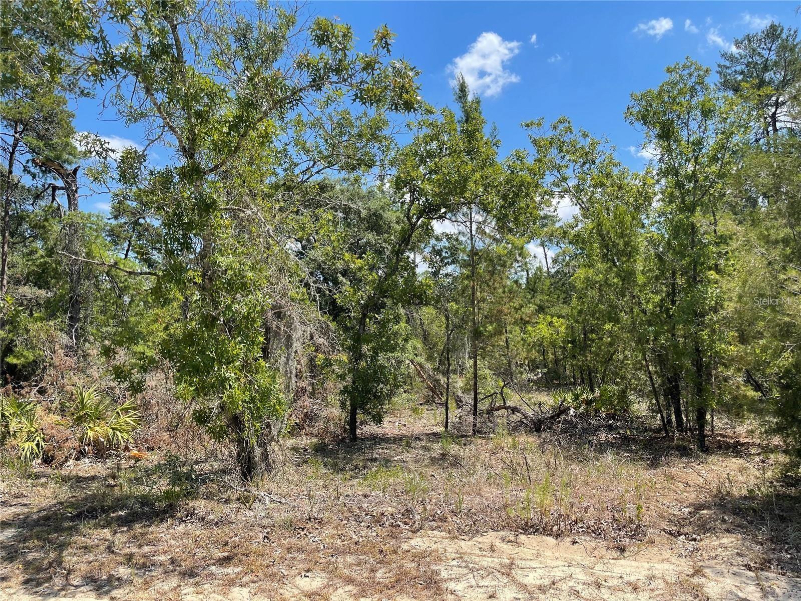 Listing Details for 47 Lone Pine Street, HOMOSASSA, FL 34446