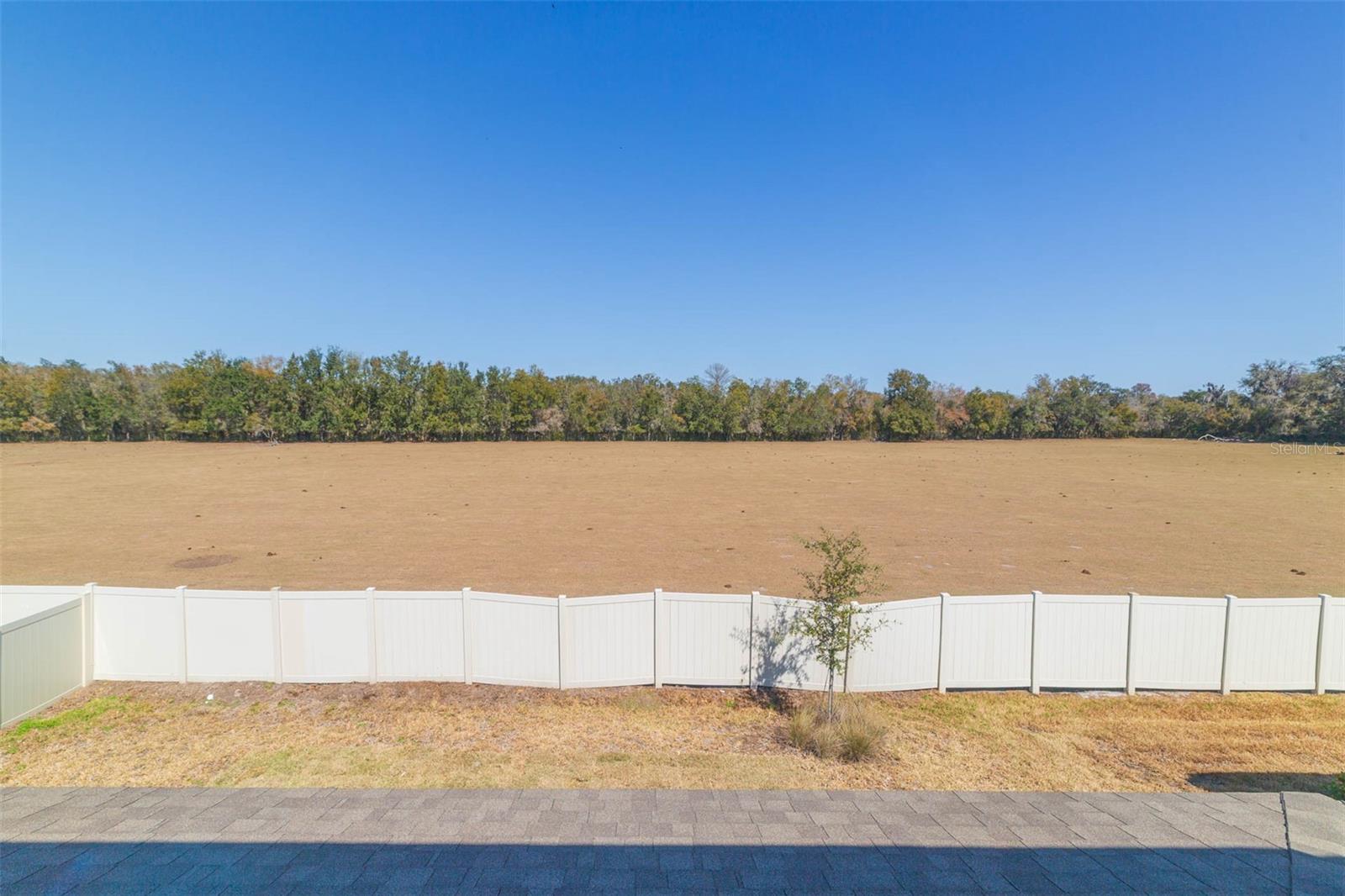 Image 51 of 53 For 3044 Forest Meadow Avenue