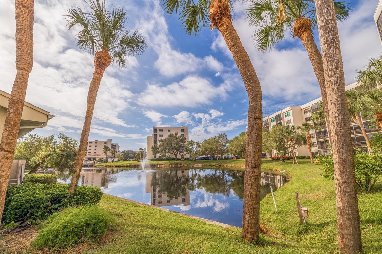 Image 39 of 44 For 1320 Pasadena Avenue S 605