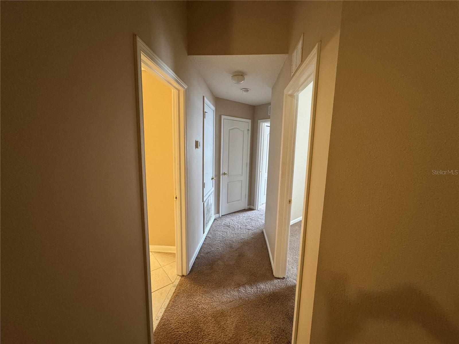 Listing photo id 23 for 2857 Conch Hollow Drive