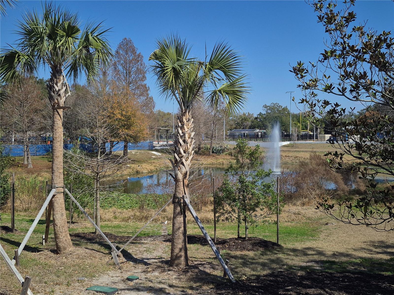 Image 20 of 23 For 3312 Ellicott Street