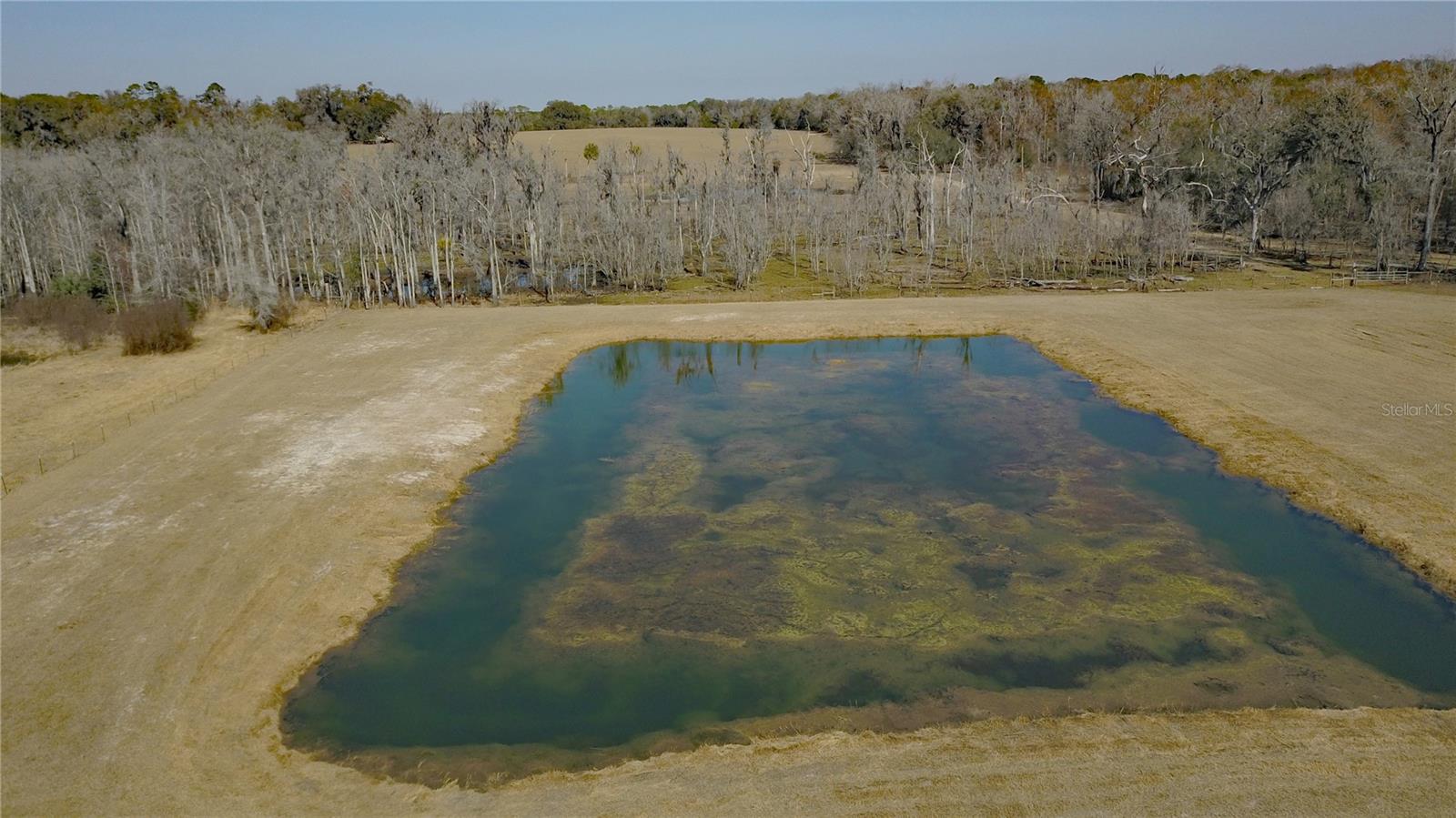 Image 49 of 66 For 3623 Whirlwind Path