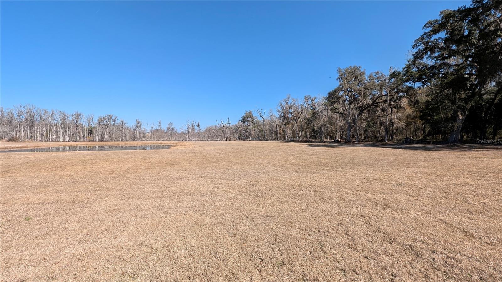 Image 51 of 66 For 3623 Whirlwind Path