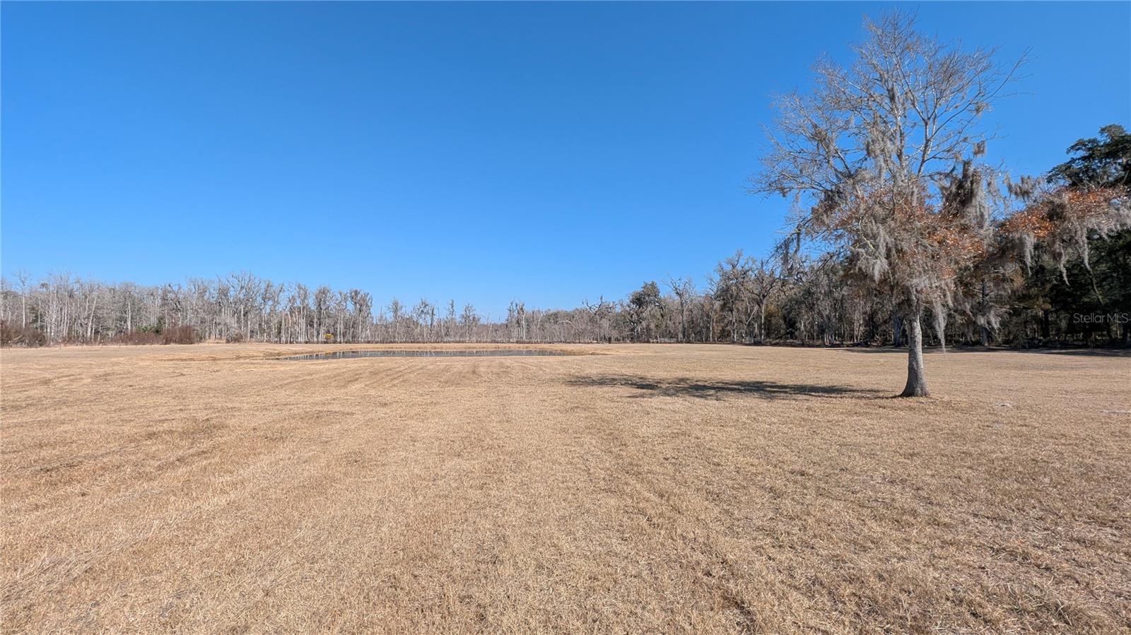 Image 52 of 66 For 3623 Whirlwind Path