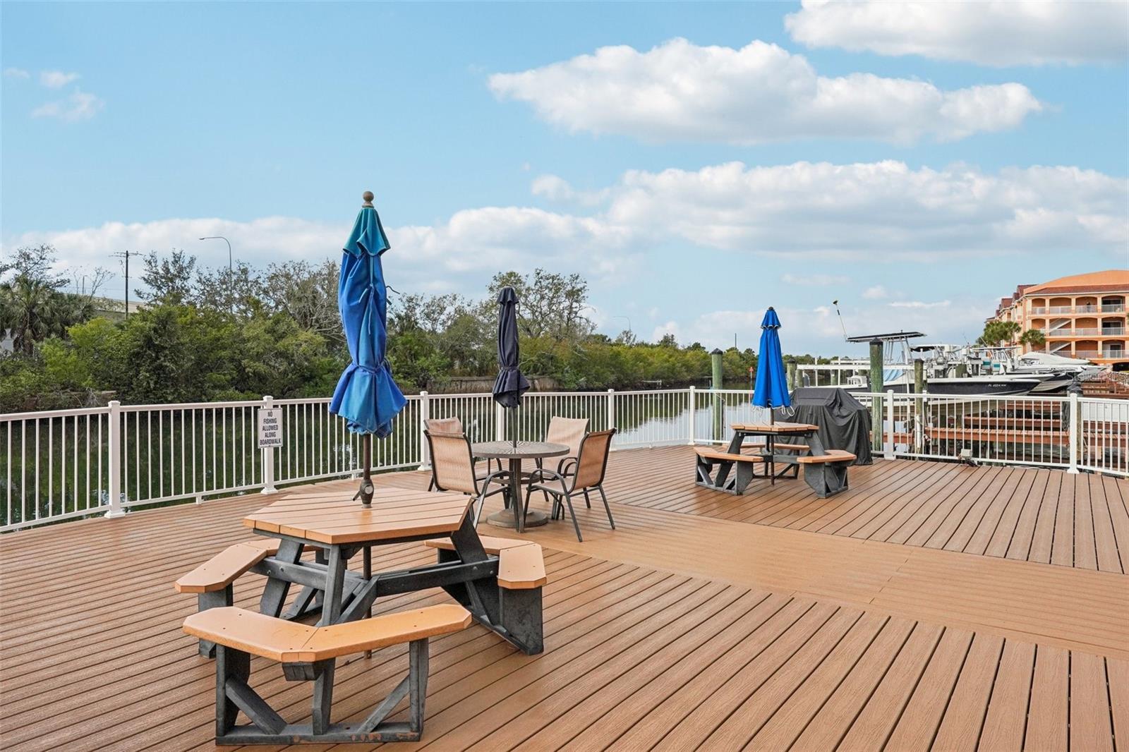 Image 64 of 78 For 5000 Culbreath Key Way 8-212