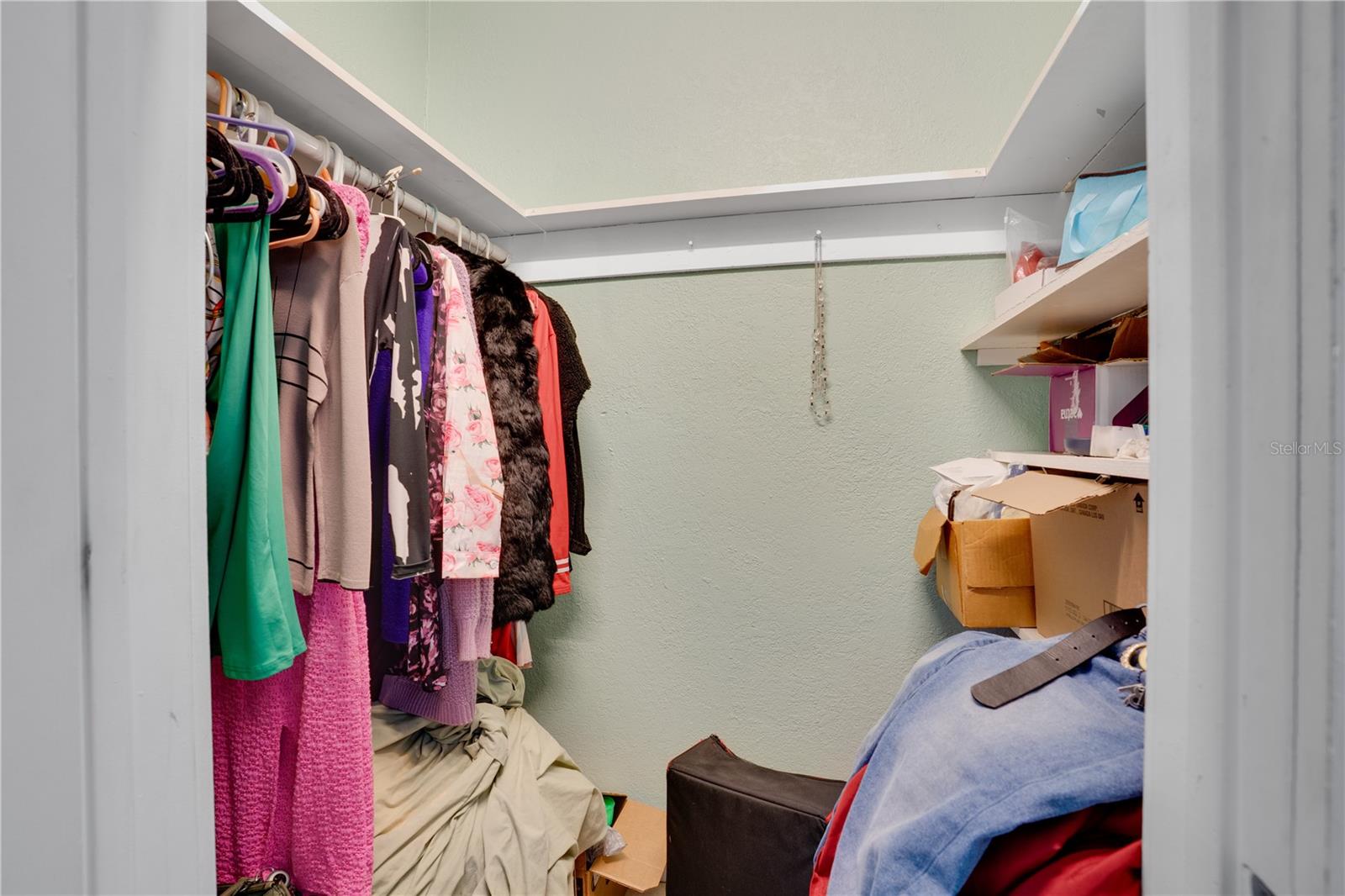 Listing photo id 6 for 316 Columbus Drive