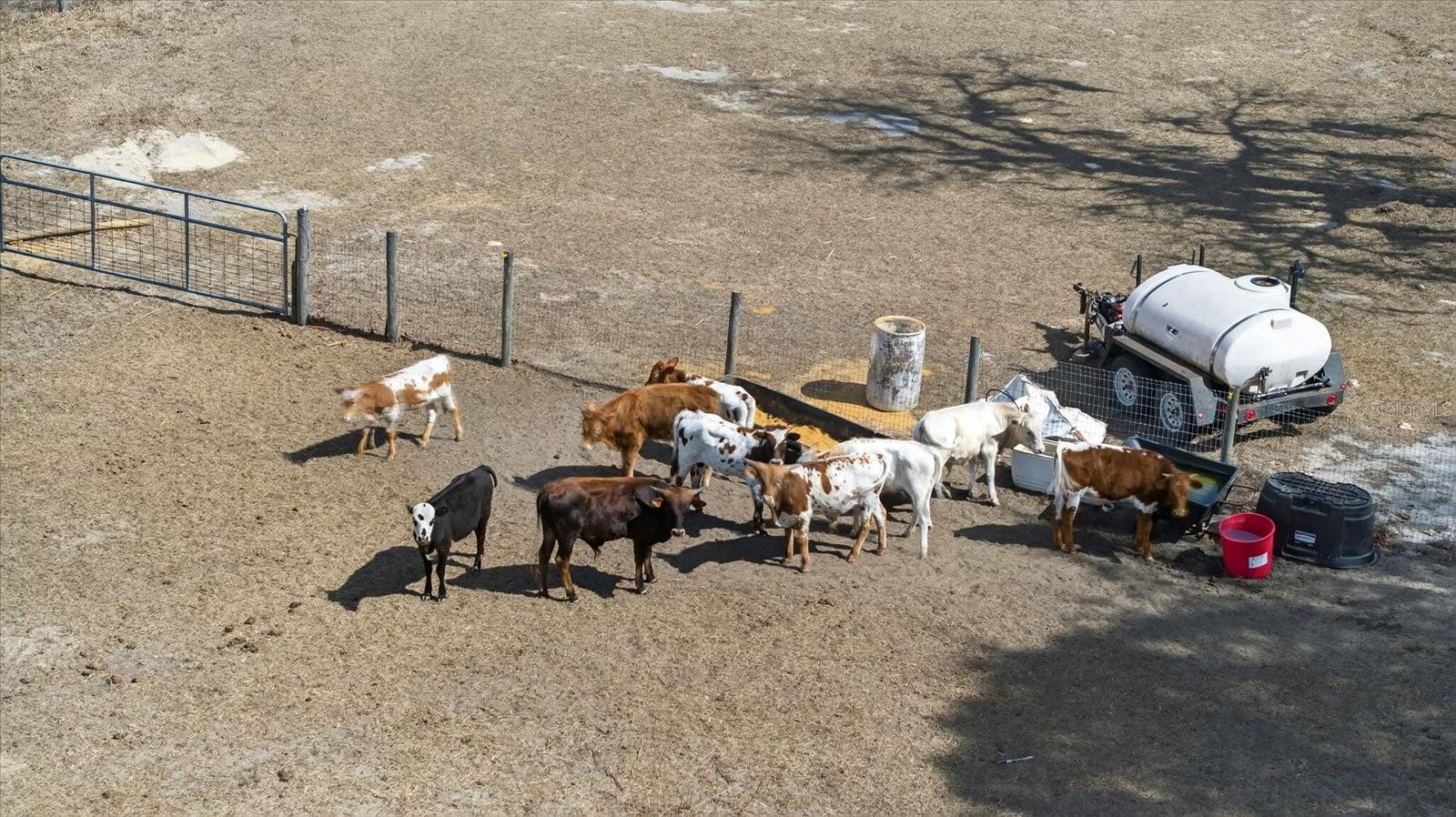 Image 26 of 29 For 18409 Rigsby Road