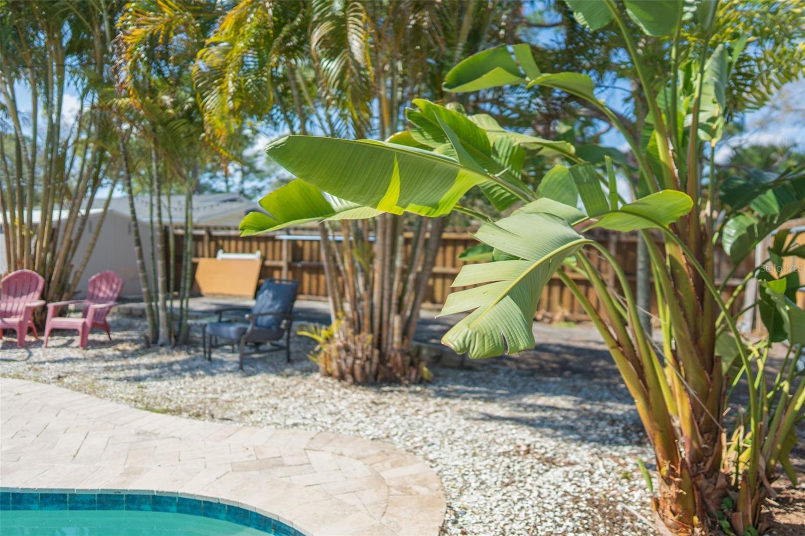 Image 32 of 40 For 619 Garland Street N