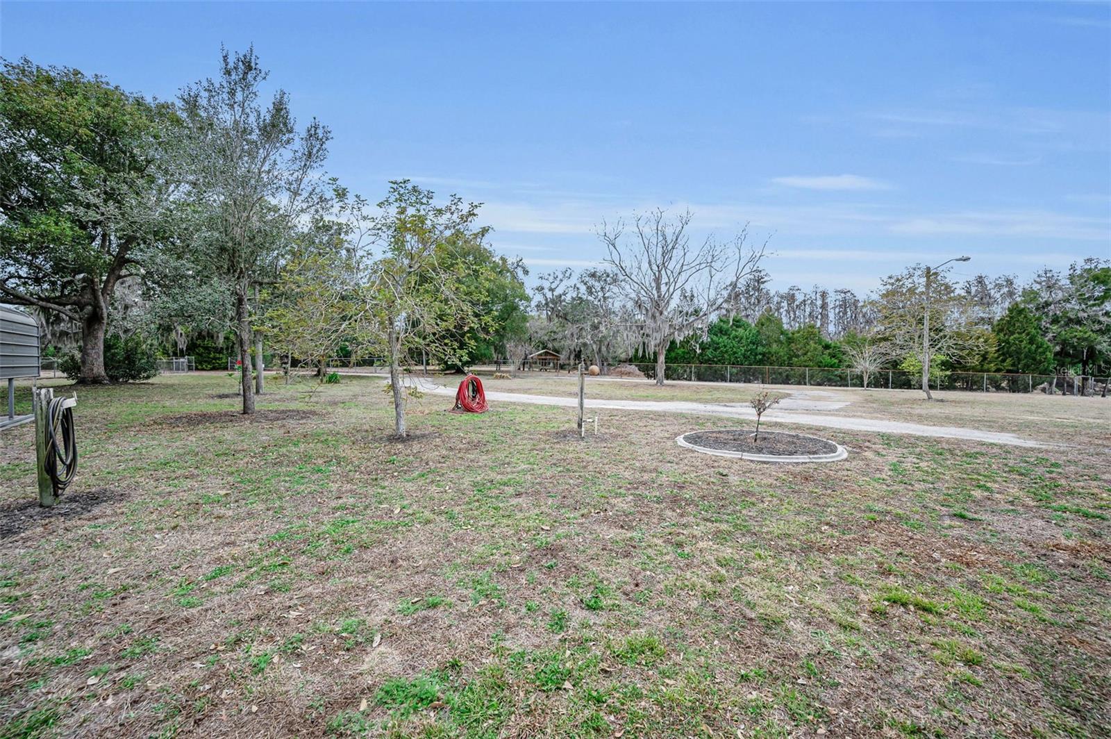 Listing photo id 29 for 7230 Old Homestead Road