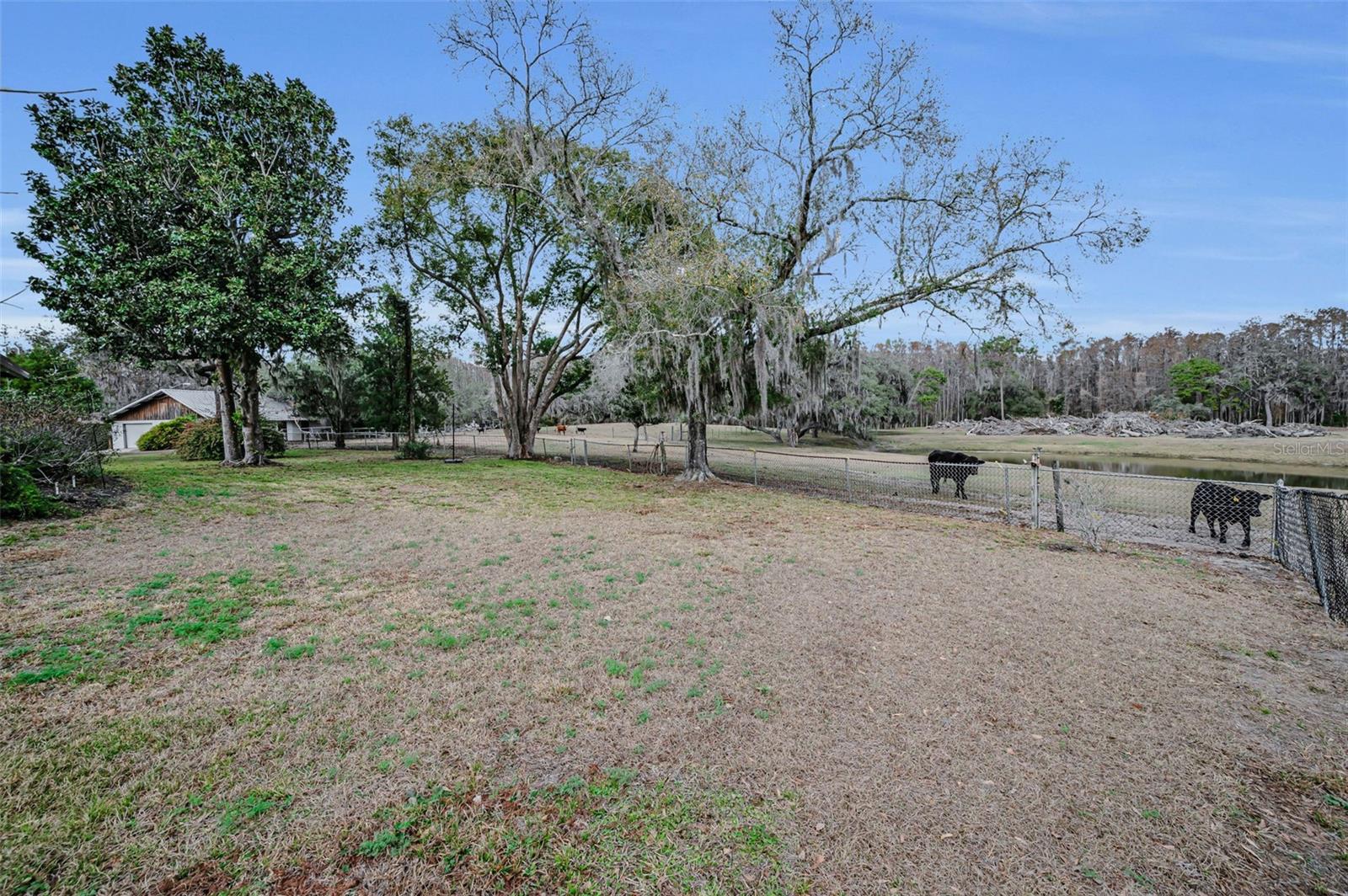 Listing photo id 55 for 7230 Old Homestead Road