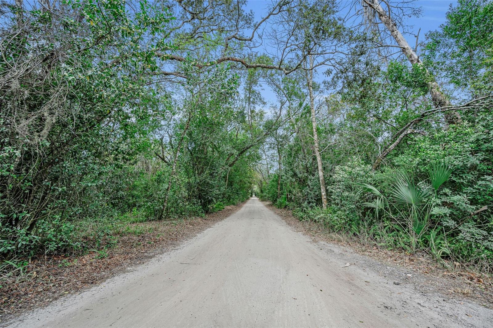 Listing photo id 4 for 7230 Old Homestead Road