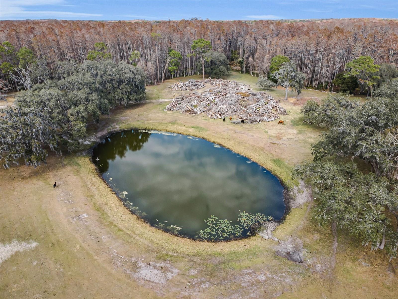 Listing photo id 59 for 7230 Old Homestead Road