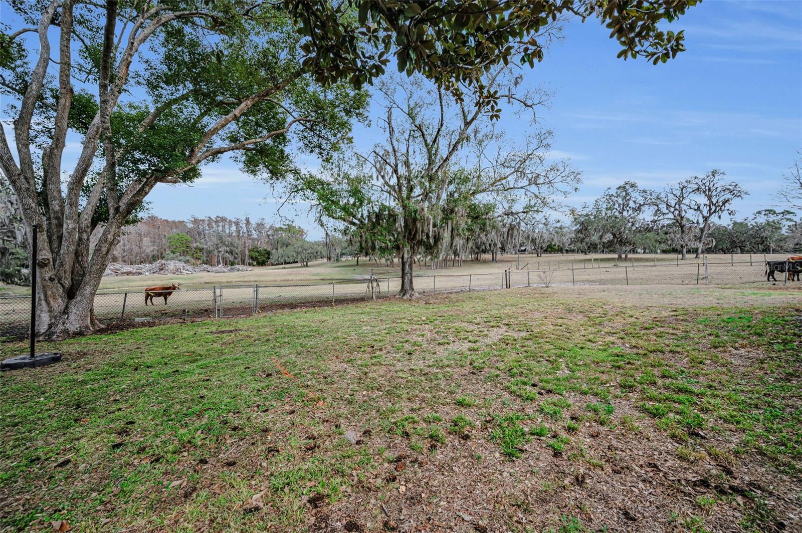 Listing photo id 60 for 7230 Old Homestead Road