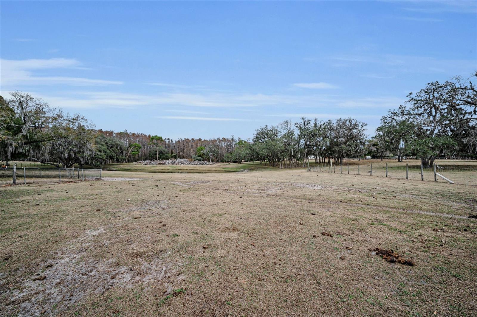 Listing photo id 88 for 7230 Old Homestead Road