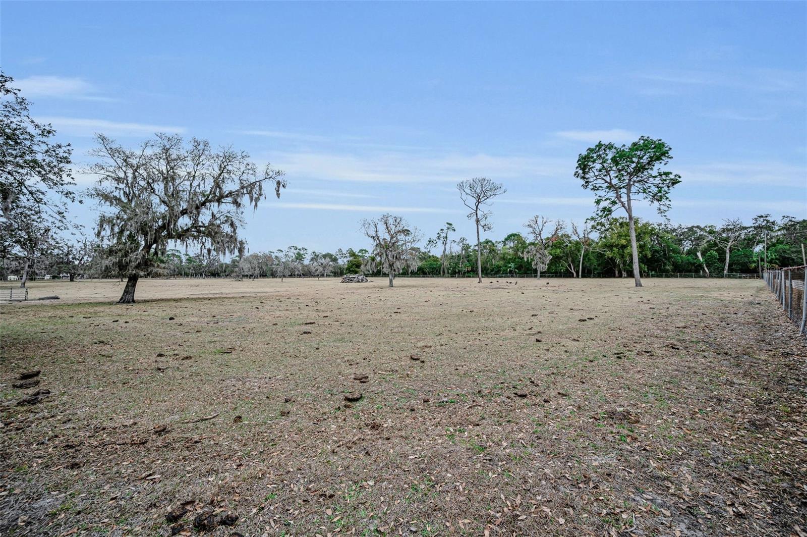 Listing photo id 92 for 7230 Old Homestead Road