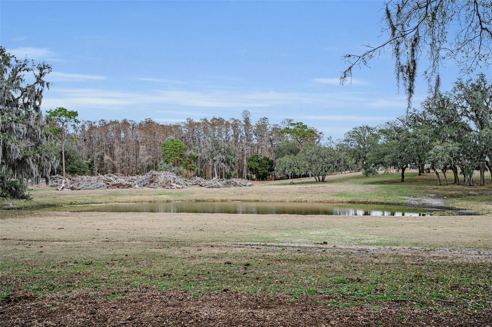 Listing photo id 96 for 7230 Old Homestead Road