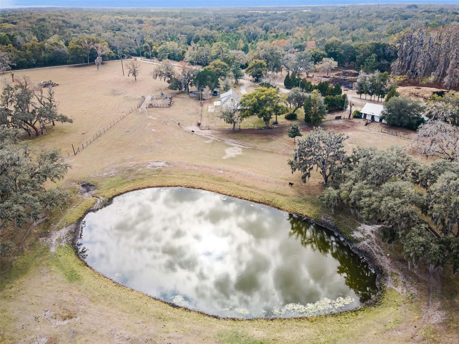 Listing photo id 97 for 7230 Old Homestead Road