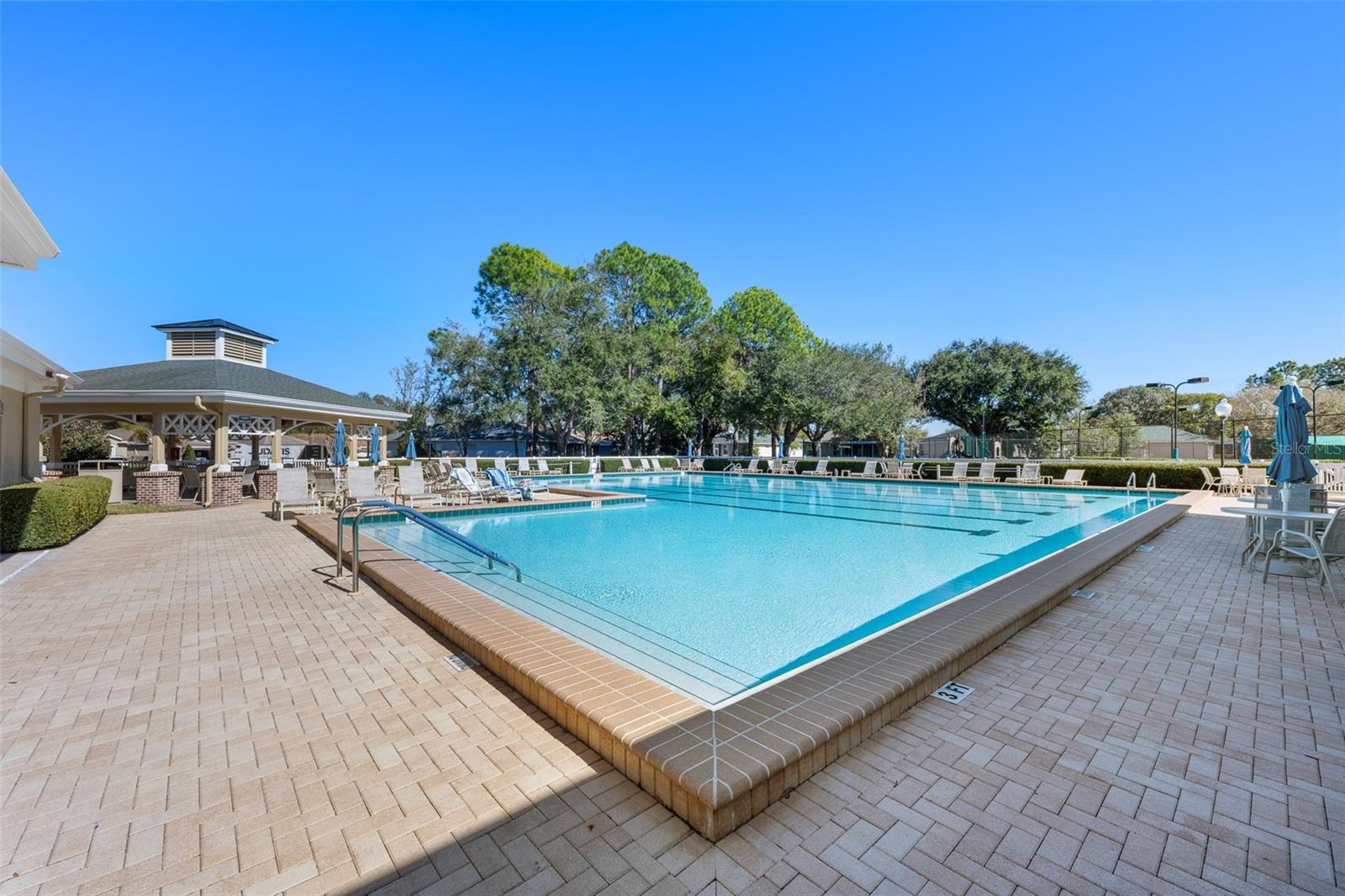 Image 67 of 84 For 5127 Secretariat Run