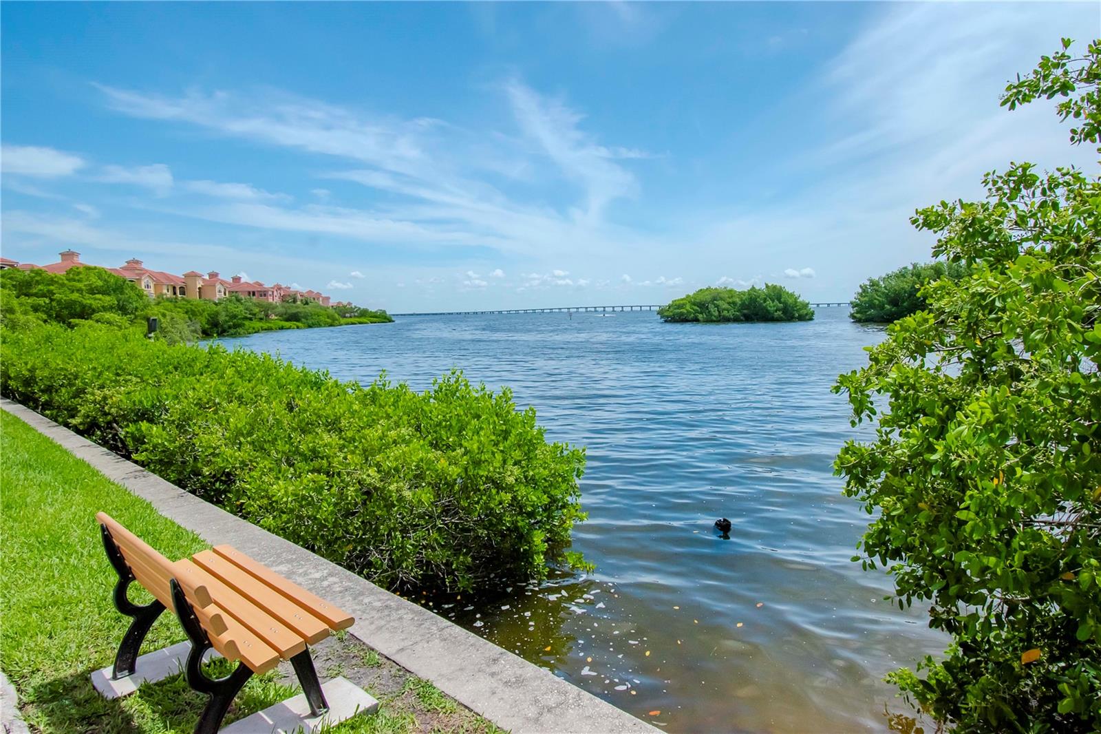 Image 34 of 61 For 2732 Via Murano  524