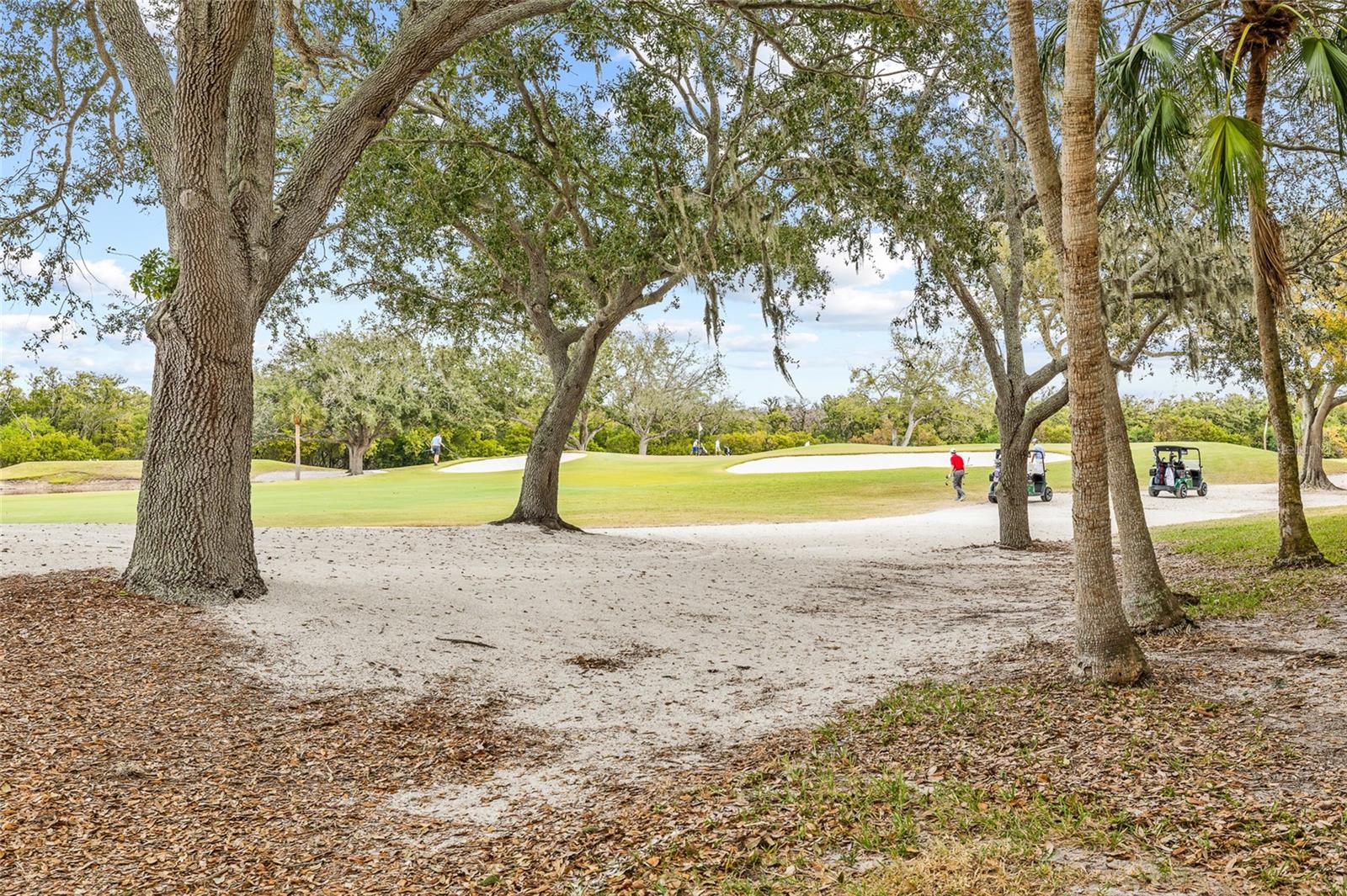 Image 40 of 49 For 2333 Feather Sound Drive A101