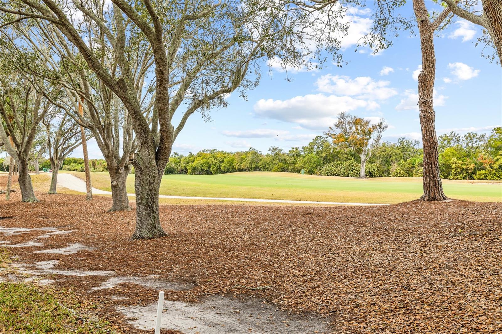 Image 41 of 49 For 2333 Feather Sound Drive A101