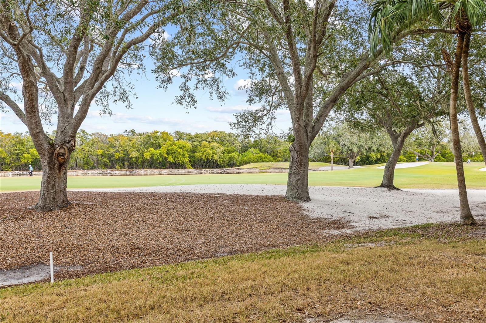 Image 44 of 49 For 2333 Feather Sound Drive A101