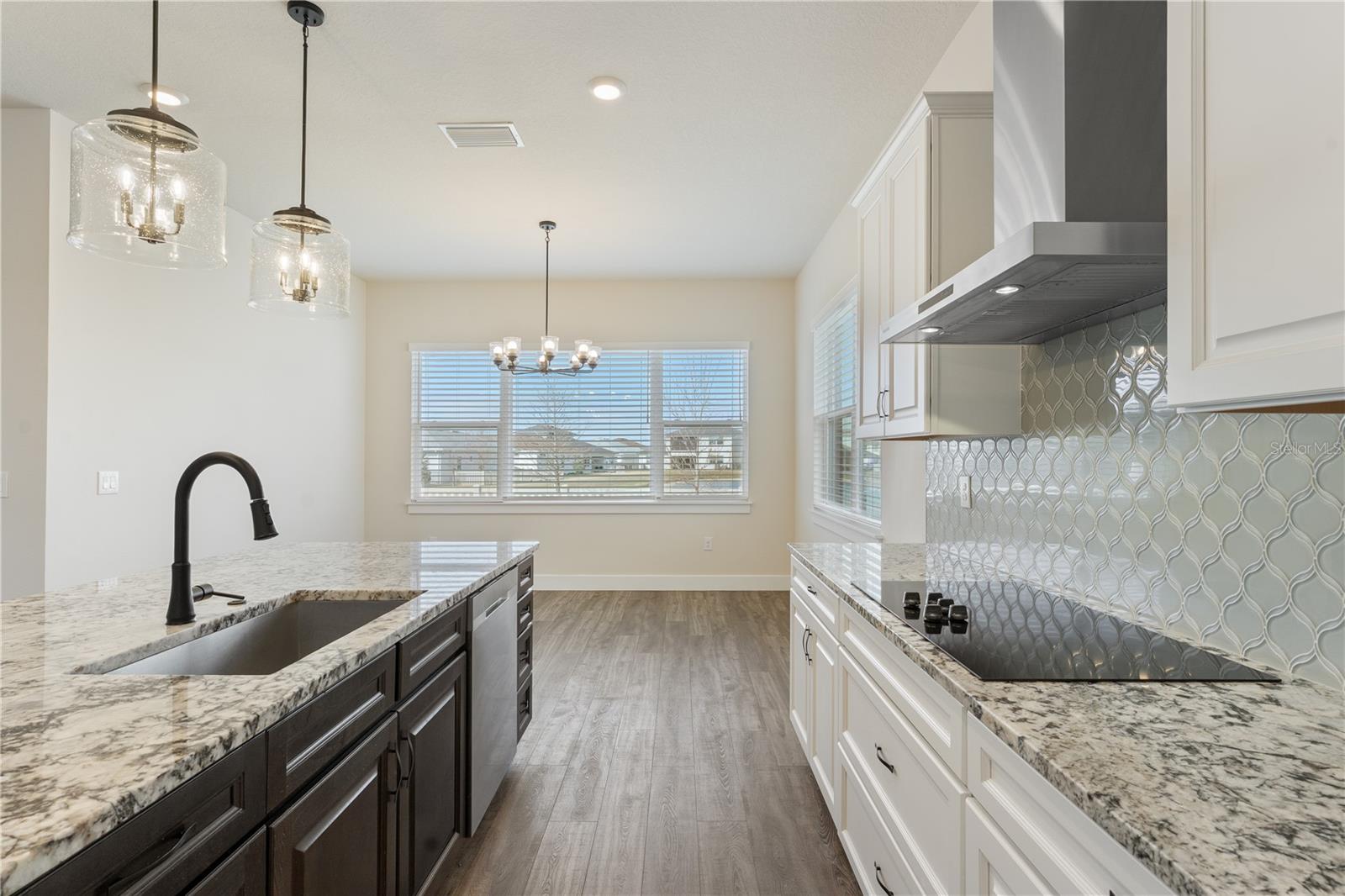 Image 15 of 43 For 8749 Drummer Plank Drive