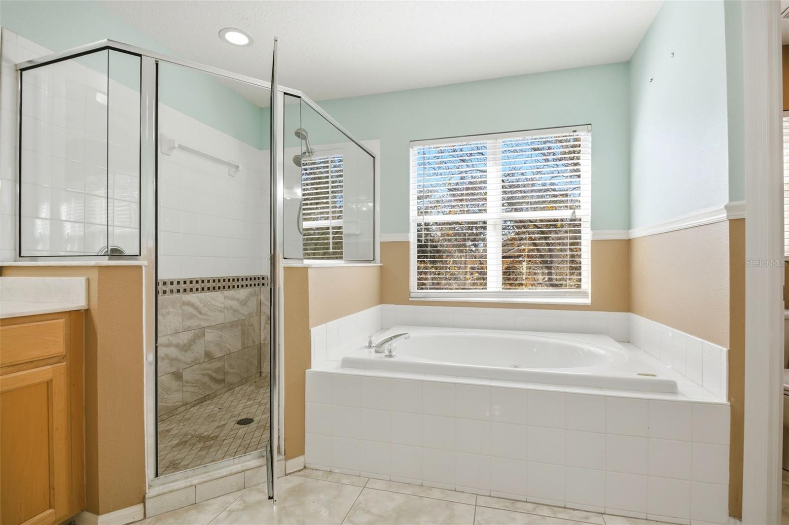 Image 26 of 50 For 7310 Brightwater Oaks Drive