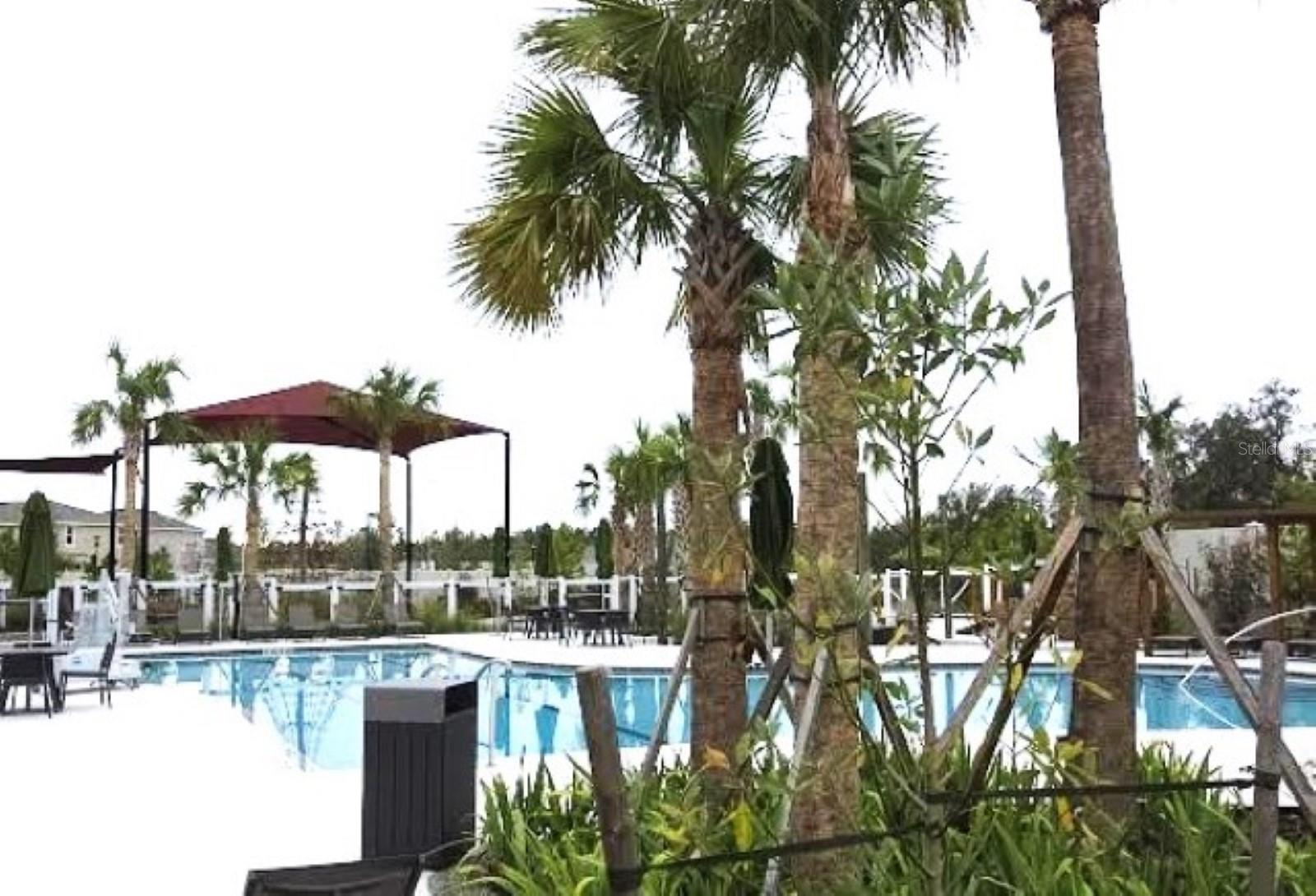 Image 50 of 54 For 35589 Lockman Way