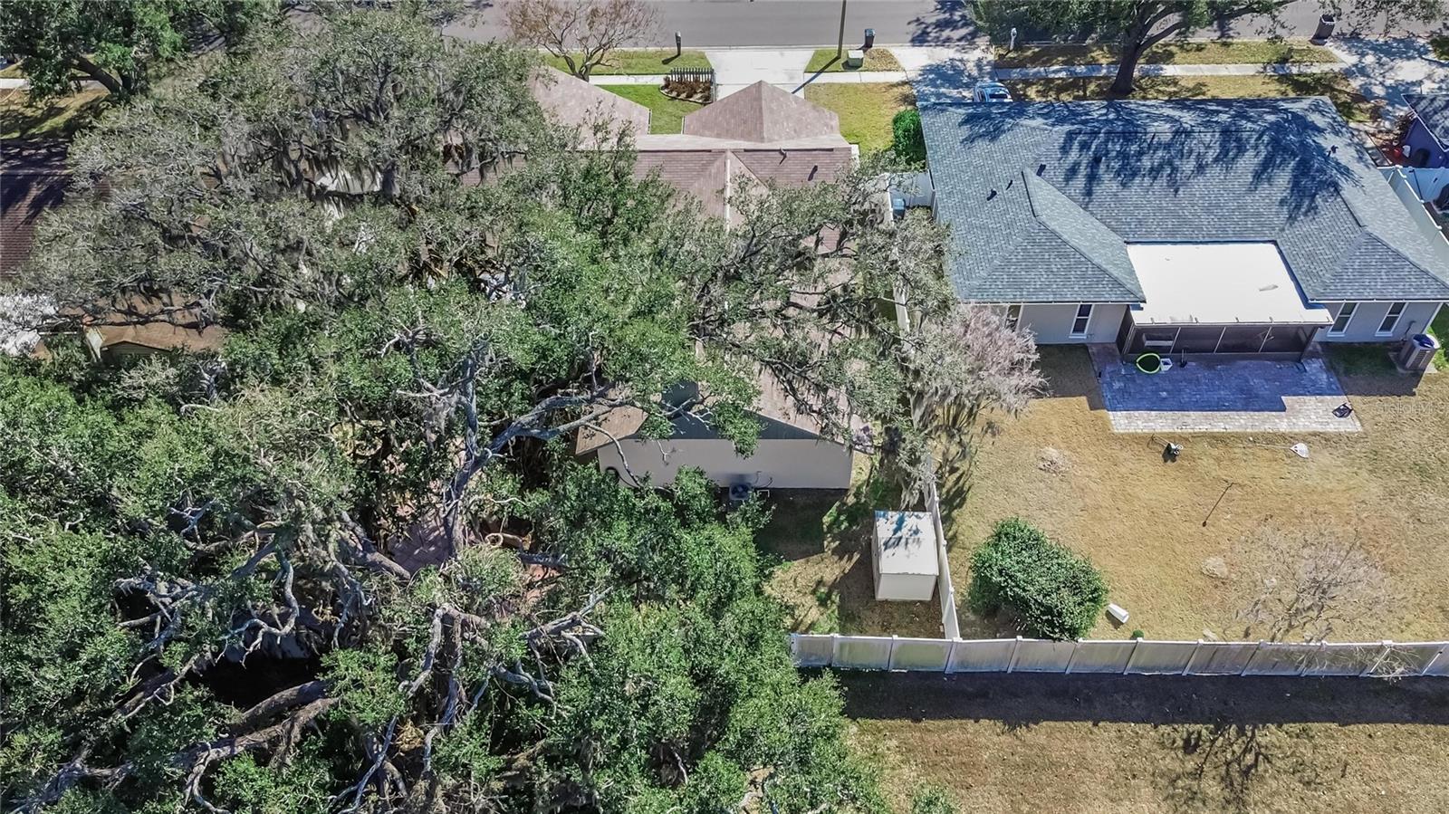 Image 64 of 65 For 1741 Shady Leaf Drive